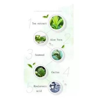 LAIKOU Green Tea Hydrating Cream - 55g, 4 image