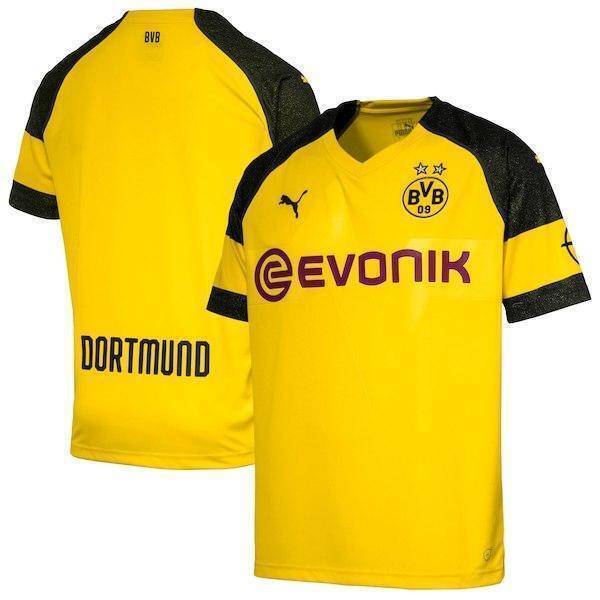 Borussia Dortmund Polyester Short Sleeve Home Jersey 2018-19