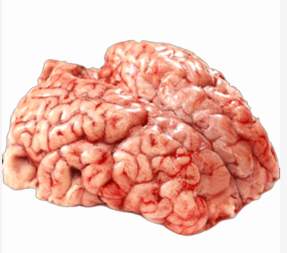 Beef Brain - Mogoj 250 gm (Net Weight ±) 1 Pc