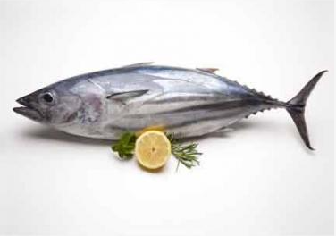 Tuna - Sea Fish 1-2 kg (Per Kg 320 Tk) 1 Pc