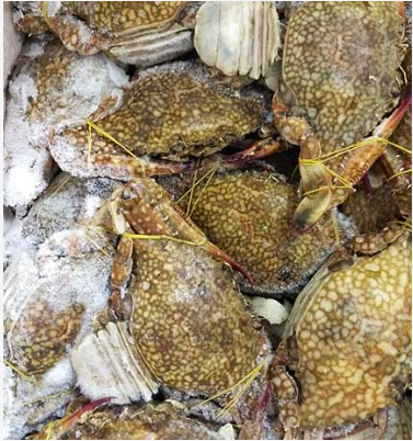 Sea Crabs 4-6 pcs kg (Per kilogram 550 TK) 1 Kilogram
