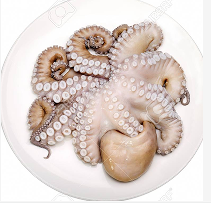 Octopus 2 kg Block (Per Kilogram 550 Tk) 2 Kilogram