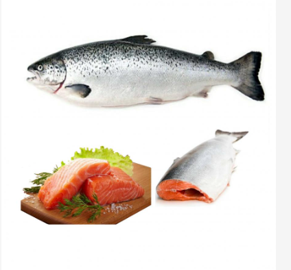 Norway Salmon Fish 5.5kg+ ( Per Kilogram 2200 Tk kg) 1 Pc