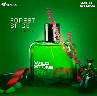 Wild Stone Forest Spice Perfume For Men 100ml, 2 image