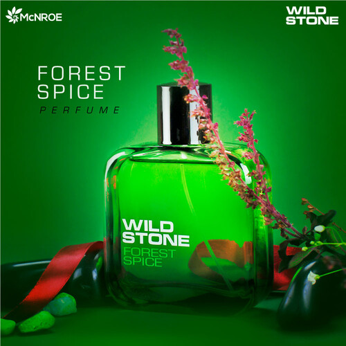 Wild Stone Forest Spice Perfume for Men (100ml), 2 image