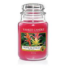 Yankee Candle Scented Candle | Tropical Jungle Large Jar Candle 623gm