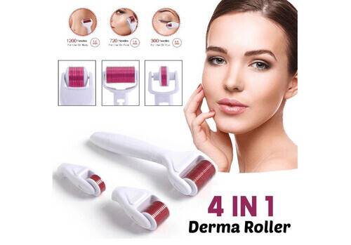 4 in 1 Facial Skin Care Derma Roller