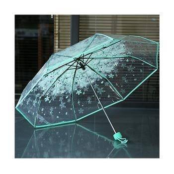 Korean Transparent Umbrella - Green