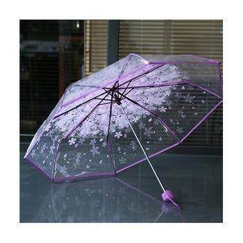 Korean Transparent Umbrella - Purple