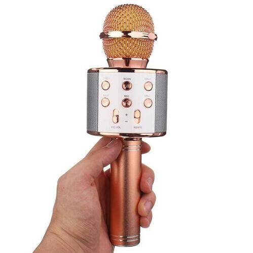 Karaoke Blutooth Microphone WS-858