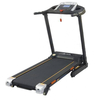 Motorized Fitness Treadmill-DK07