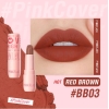 PF-L05 Silky Velvet Lipstick-BB03#