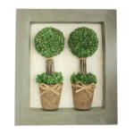 Two  Sg Hf Topiary In Pict Frame (BB/FRAM2) 32X6.5X36CM H