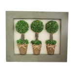 Three Sg Hf Topiary In Pict Frame (BB/FRAM6) 37X5.5X30CM H