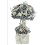 Sea Shell In Tw Planter (T071) 22X17X36CM H