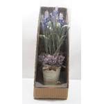 Lavender & Garden Roses In P/S Planter (PR/PS02) 10X10X32CM H