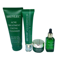 Breylee Acne Package (Cream+Serum+Cleanser+Removal Gel)