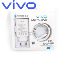 Vivo 3.0 Dual-engine Fast Charger with Cable