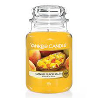 Classic Large Jar Mango Peach Salsa (623gm)