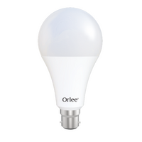 AC LED 20W DAYLIGHT BULB B22 Orlee(Pin)