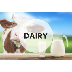 Dairy 