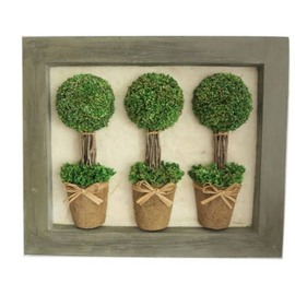 Three Sg Hf Topiary In Pict Frame (BB/FRAM3) 43X6.5X36CM H