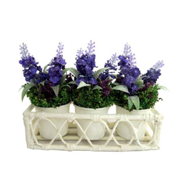 Lavender W/Sg On Cup x3 In Crate (PP05) 19.5X7X15CM H