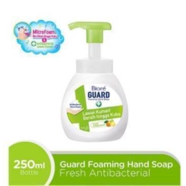 Biore Guard Foaming Handsoap