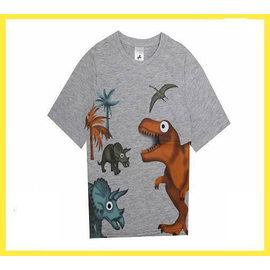 Grey Dinosaur Print Boys T-Shirt