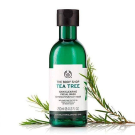 The Body Shop Tea Tree Skin Clearing Facial Wash (250ml)