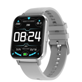 DT NO.1 DTX Smart Watch-Silver