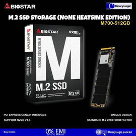 Biostar M700-512GB SSD NVMe M.2 (None Heatsink Edition)