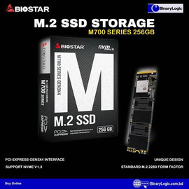 Biostar M700 Series 256GB SSD