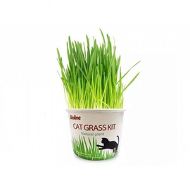 Bioline Cat Grass Kit 12G (New Packaging) Kit Ramput Kucing