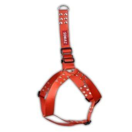 Dog Harness with Leash (Step in Type), Color-Red