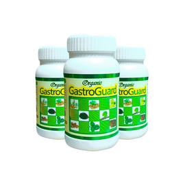 Organic gastro guard - 3 pcs