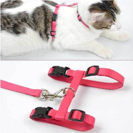 Adjustable Nylon Pet Puppy & Cat Harness and Leash  Kitten Belt Collar