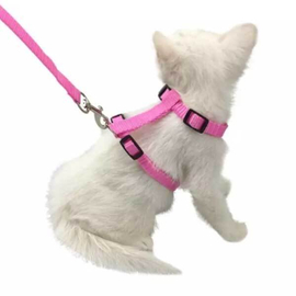 Adjustable Nylon Pet Puppy & Cat Harness and Leash  Kitten Belt Collar, 6 image