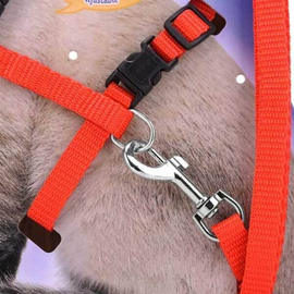 Adjustable Nylon Pet Puppy & Cat Harness and Leash  Kitten Belt Collar, 4 image