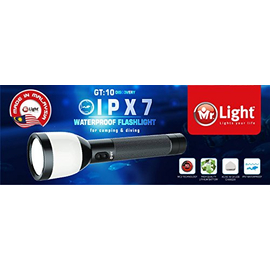 Wasing Rechargeable Torch Light WFL- AD4L, 2 image