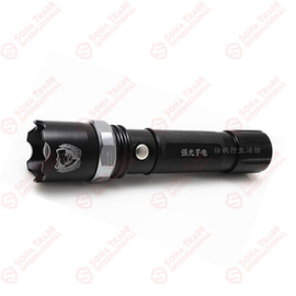 Small Sun zoom-able Flashlight With Laser Light  R638A