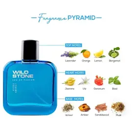 Wild Stone Hydra Energy Perfume 50 ml