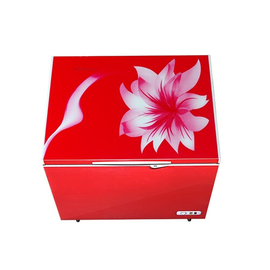 JE-150L-CD Red Sun Flower (Freezer), 4 image