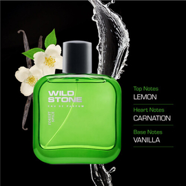 Wild Stone Forest Spice Perfume for Men (100ml), 4 image