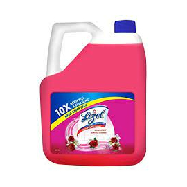 Lizol Disinfectant Floor & Surface Cleaner 5L Floral, Super Saver Pack, Kills 99.9% Germs