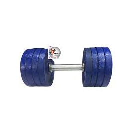 Blue Dumbbell Set - Eight Pieces 1.25kg Blue Plate with one 15 inch Stick