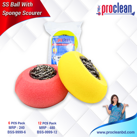 SS Ball With Sponge Scourer 2pcs