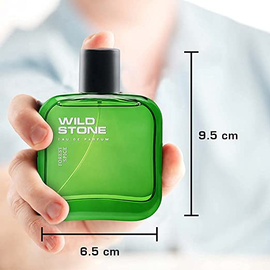 Wild Stone Forest Spice Perfume for Men (50ml), 4 image