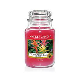 Yankee Candle Scented Candle | Tropical Jungle Large Jar Candle 623gm