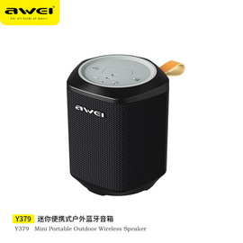 Awei Y379TWS Wireless Portable Speaker